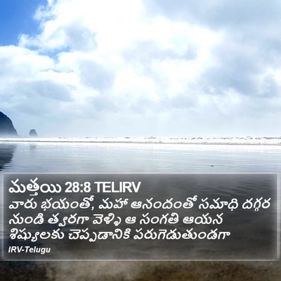 మత్తయి 28:8 TELIRV Bible Verse Image