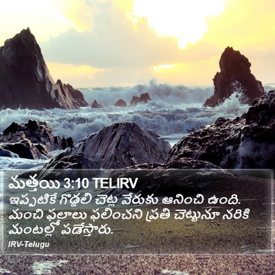 మత్తయి 3:10 TELIRV Bible Verse Image