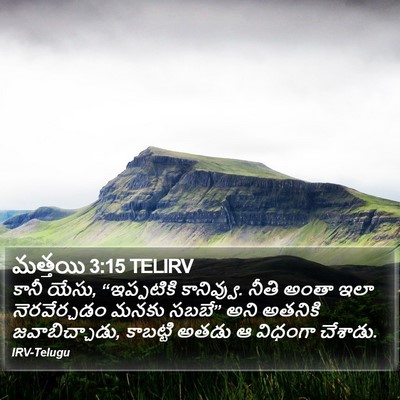మత్తయి 3:15 TELIRV Bible Verse Image