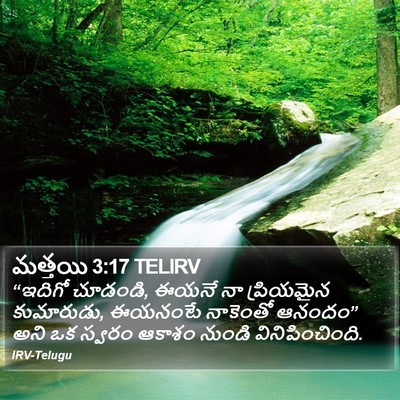 మత్తయి 3:17 TELIRV Bible Verse Image