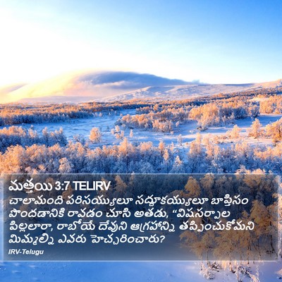 మత్తయి 3:7 TELIRV Bible Verse Image