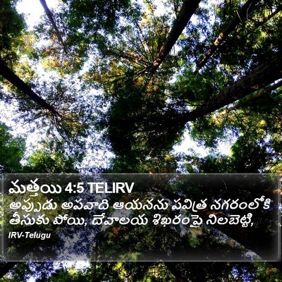 మత్తయి 4:5 TELIRV Bible Verse Image