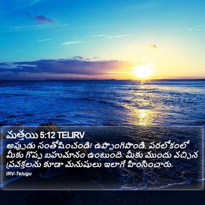 మత్తయి 5:12 TELIRV Bible Verse Image
