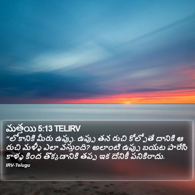 మత్తయి 5:13 TELIRV Bible Verse Image