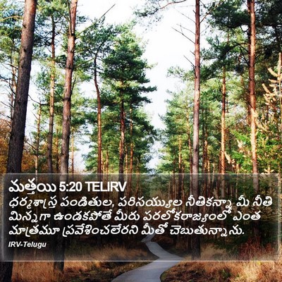 మత్తయి 5:20 TELIRV Bible Verse Image