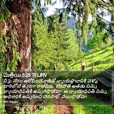 మత్తయి 5:25 TELIRV Bible Verse Image
