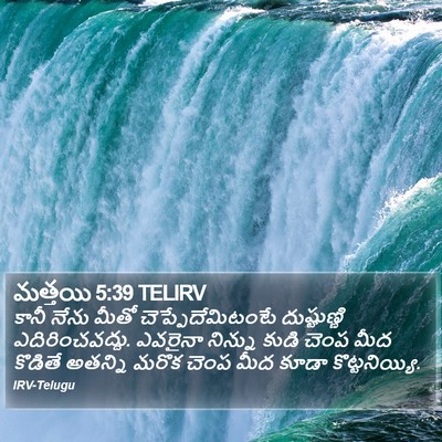 మత్తయి 5:39 TELIRV Bible Verse Image