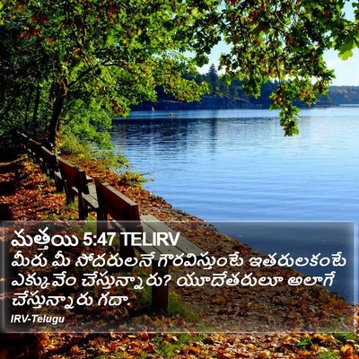 మత్తయి 5:47 TELIRV Bible Verse Image
