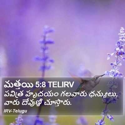 మత్తయి 5:8 TELIRV Bible Verse Image