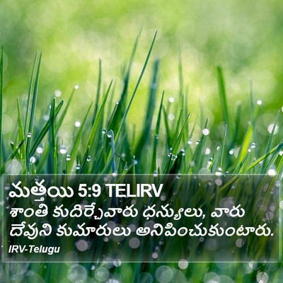 మత్తయి 5:9 TELIRV Bible Verse Image