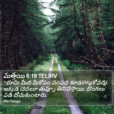 మత్తయి 6:19 TELIRV Bible Verse Image
