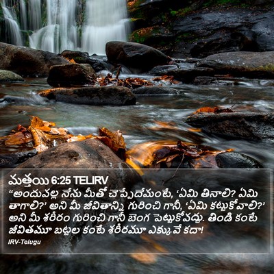 మత్తయి 6:25 TELIRV Bible Verse Image