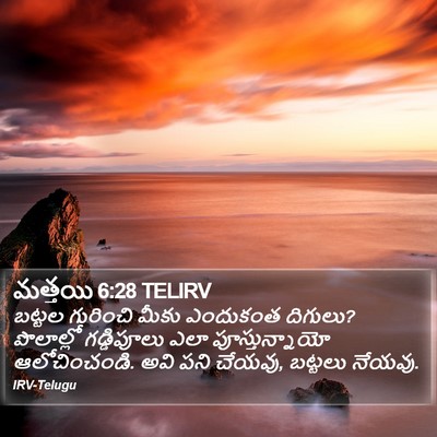 మత్తయి 6:28 TELIRV Bible Verse Image