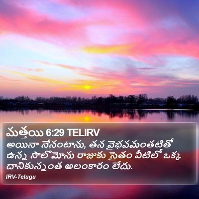 మత్తయి 6:29 TELIRV Bible Verse Image