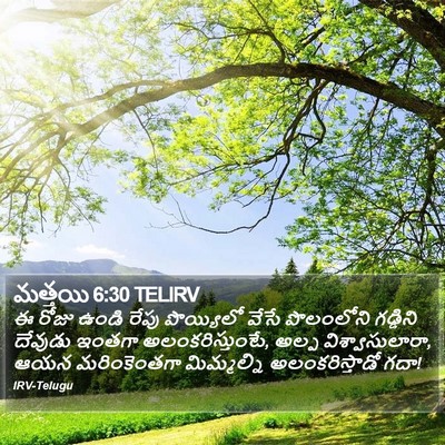 మత్తయి 6:30 TELIRV Bible Verse Image