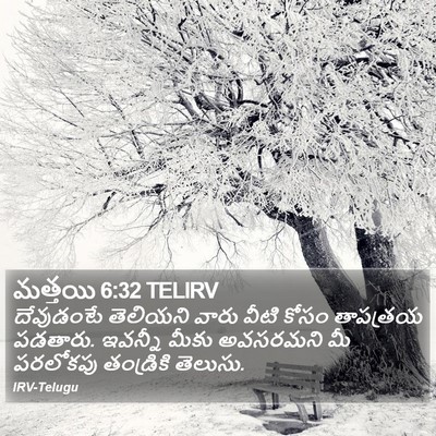 మత్తయి 6:32 TELIRV Bible Verse Image