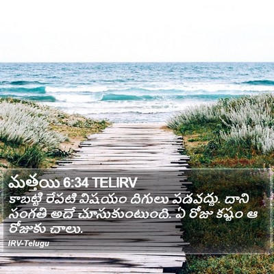 మత్తయి 6:34 TELIRV Bible Verse Image