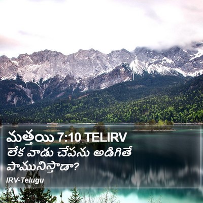 మత్తయి 7:10 TELIRV Bible Verse Image