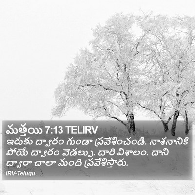 మత్తయి 7:13 TELIRV Bible Verse Image