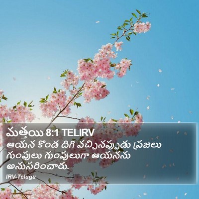 మత్తయి 8:1 TELIRV Bible Verse Image