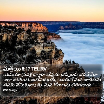 మత్తయి 8:17 TELIRV Bible Verse Image