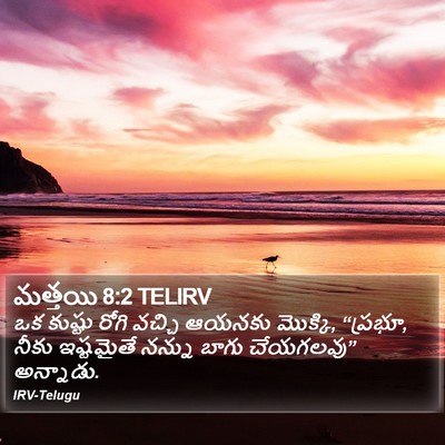 మత్తయి 8:2 TELIRV Bible Verse Image