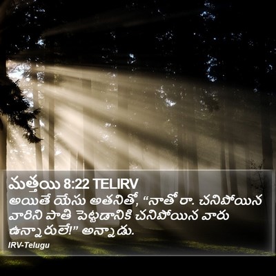 మత్తయి 8:22 TELIRV Bible Verse Image