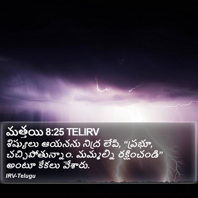 మత్తయి 8:25 TELIRV Bible Verse Image