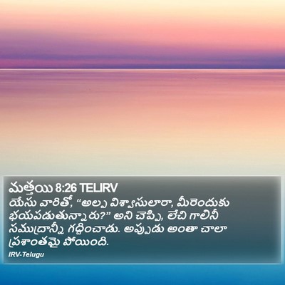 మత్తయి 8:26 TELIRV Bible Verse Image