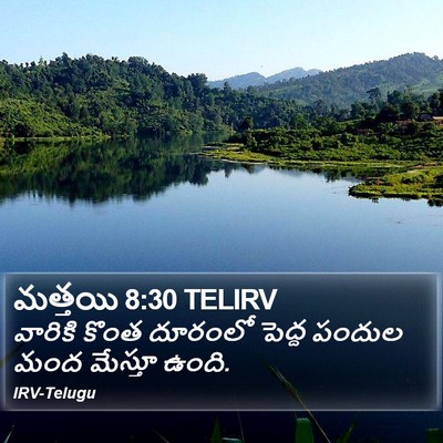 మత్తయి 8:30 TELIRV Bible Verse Image