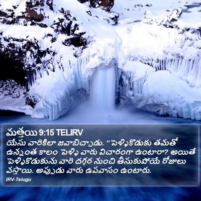 మత్తయి 9:15 TELIRV Bible Verse Image