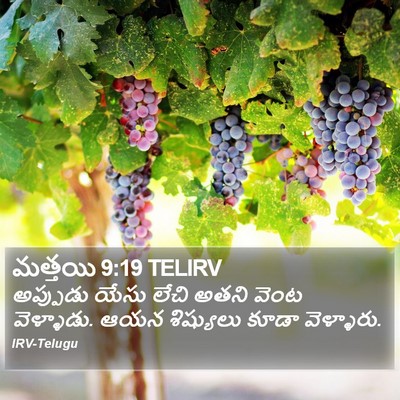 మత్తయి 9:19 TELIRV Bible Verse Image