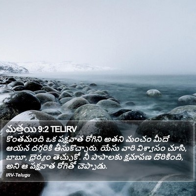మత్తయి 9:2 TELIRV Bible Verse Image