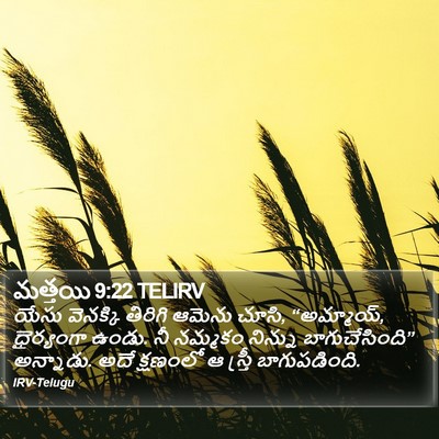 మత్తయి 9:22 TELIRV Bible Verse Image