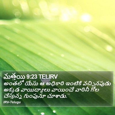 మత్తయి 9:23 TELIRV Bible Verse Image