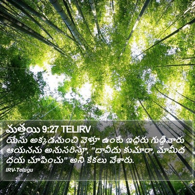 మత్తయి 9:27 TELIRV Bible Verse Image