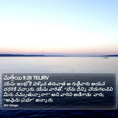 మత్తయి 9:28 TELIRV Bible Verse Image