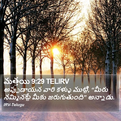 మత్తయి 9:29 TELIRV Bible Verse Image