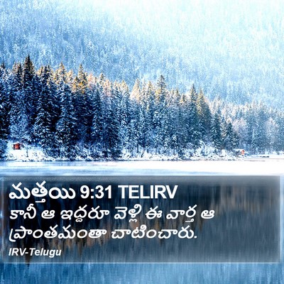 మత్తయి 9:31 TELIRV Bible Verse Image