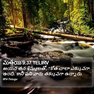 మత్తయి 9:37 TELIRV Bible Verse Image