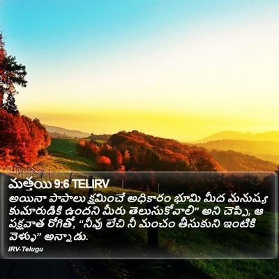 మత్తయి 9:6 TELIRV Bible Verse Image
