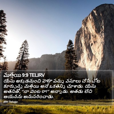 మత్తయి 9:9 TELIRV Bible Verse Image