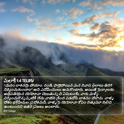 మలాకీ 1:4 TELIRV Bible Verse Image