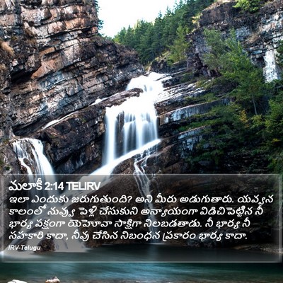 మలాకీ 2:14 TELIRV Bible Verse Image