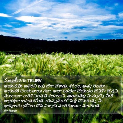 మలాకీ 2:15 TELIRV Bible Verse Image