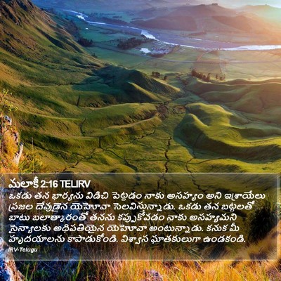 మలాకీ 2:16 TELIRV Bible Verse Image