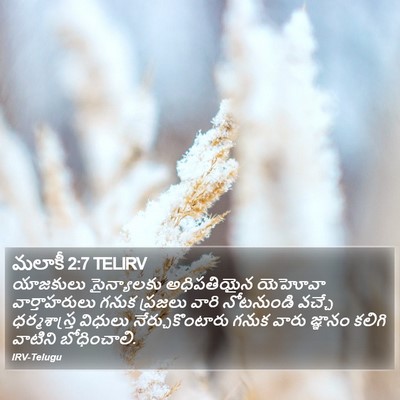 మలాకీ 2:7 TELIRV Bible Verse Image