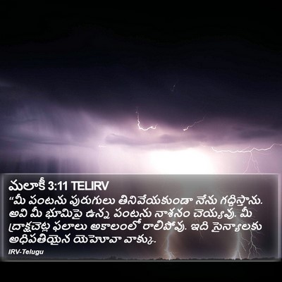 మలాకీ 3:11 TELIRV Bible Verse Image