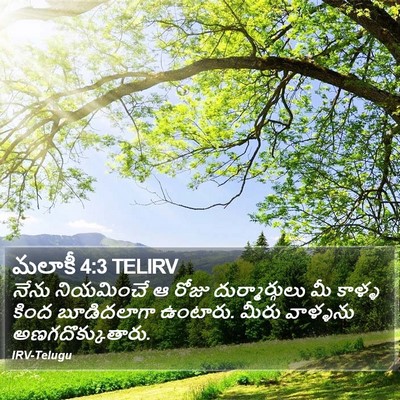 మలాకీ 4:3 TELIRV Bible Verse Image