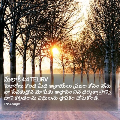 మలాకీ 4:4 TELIRV Bible Verse Image